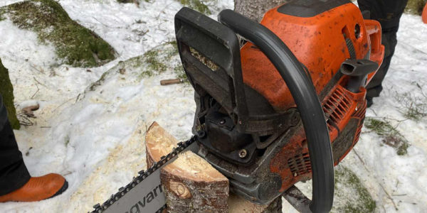 tre-hage-pettersen-trefelling-4